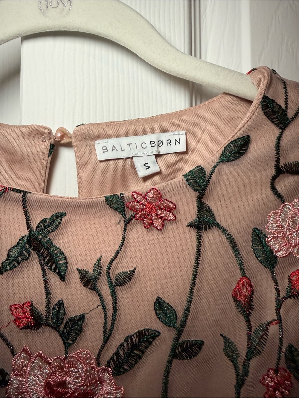 Baltic Born Blush Pink Tulle Dress with Floral Embroidery - Picture 2 of 4